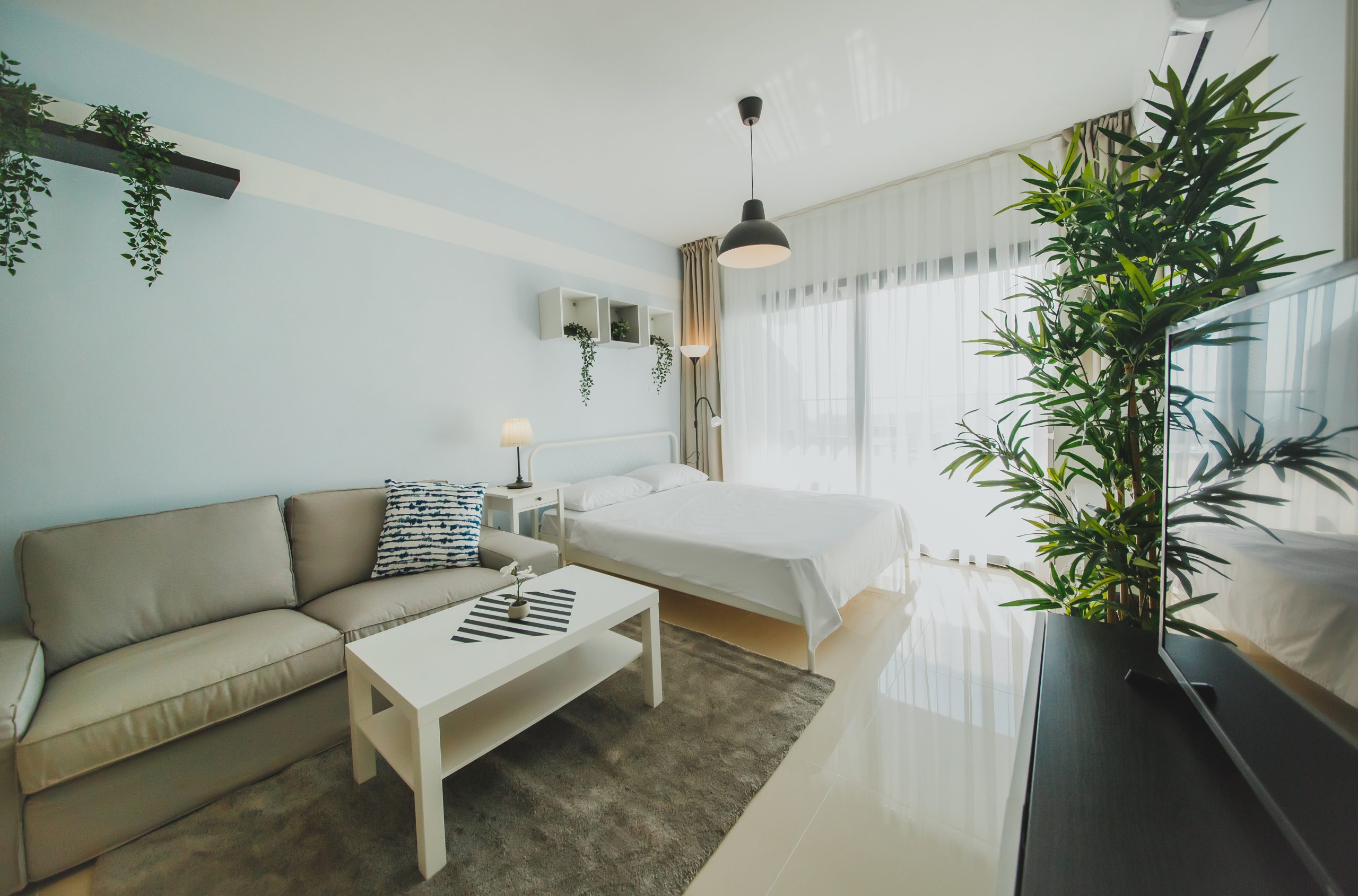 20201113 _94B7717 scaled