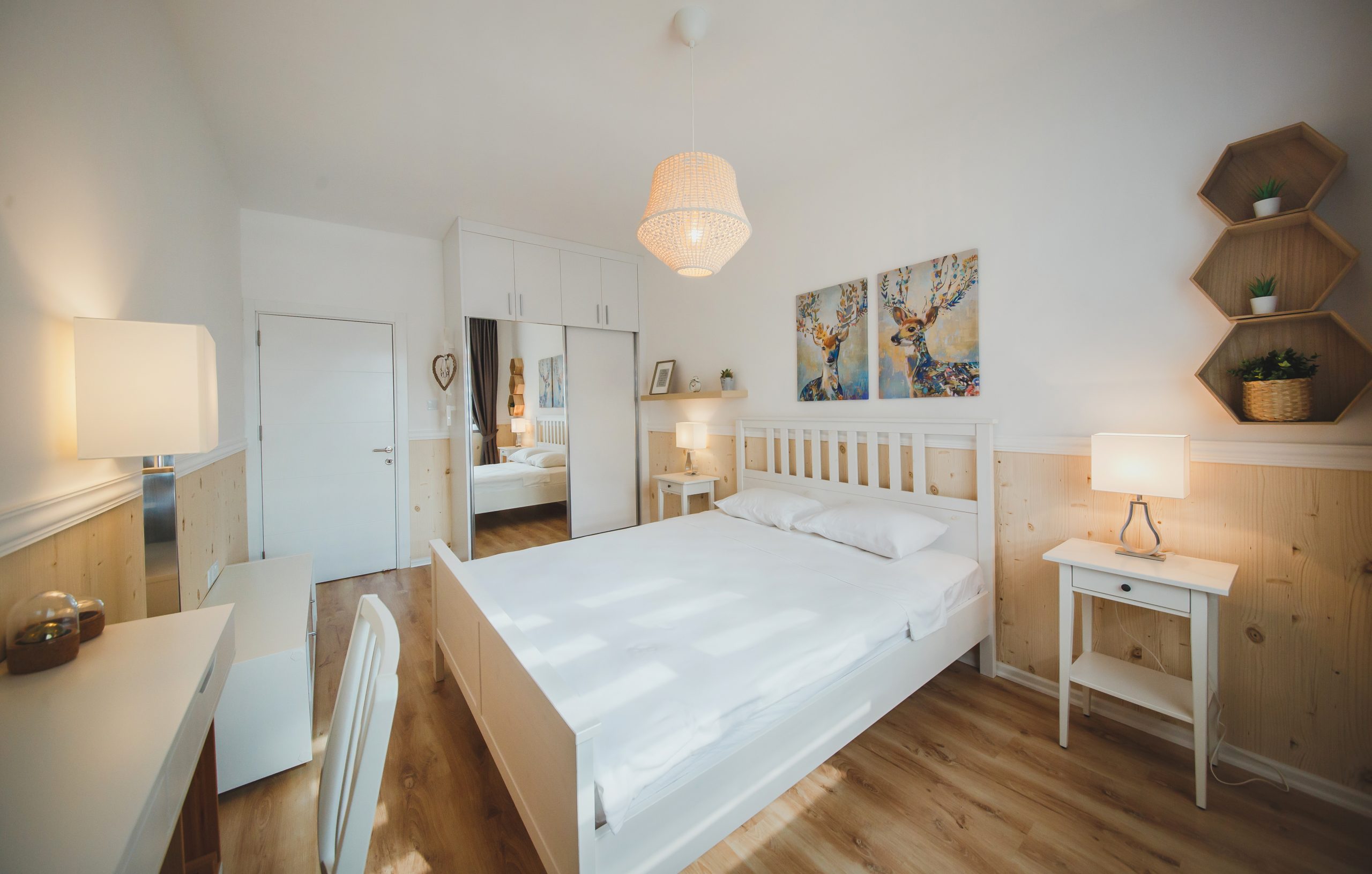 20201113 _94B8092 scaled