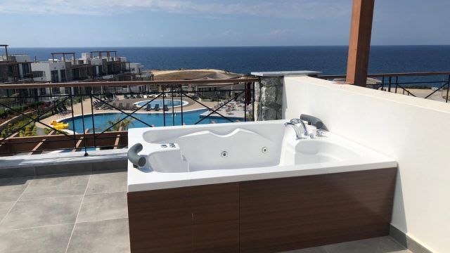 WhatsApp Image 2020-07-24 at 15.16.49 (1)